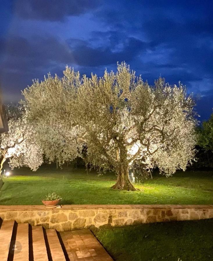 Agriturismo Eco-Bio Villa Vacasio Питильяно Экстерьер фото
