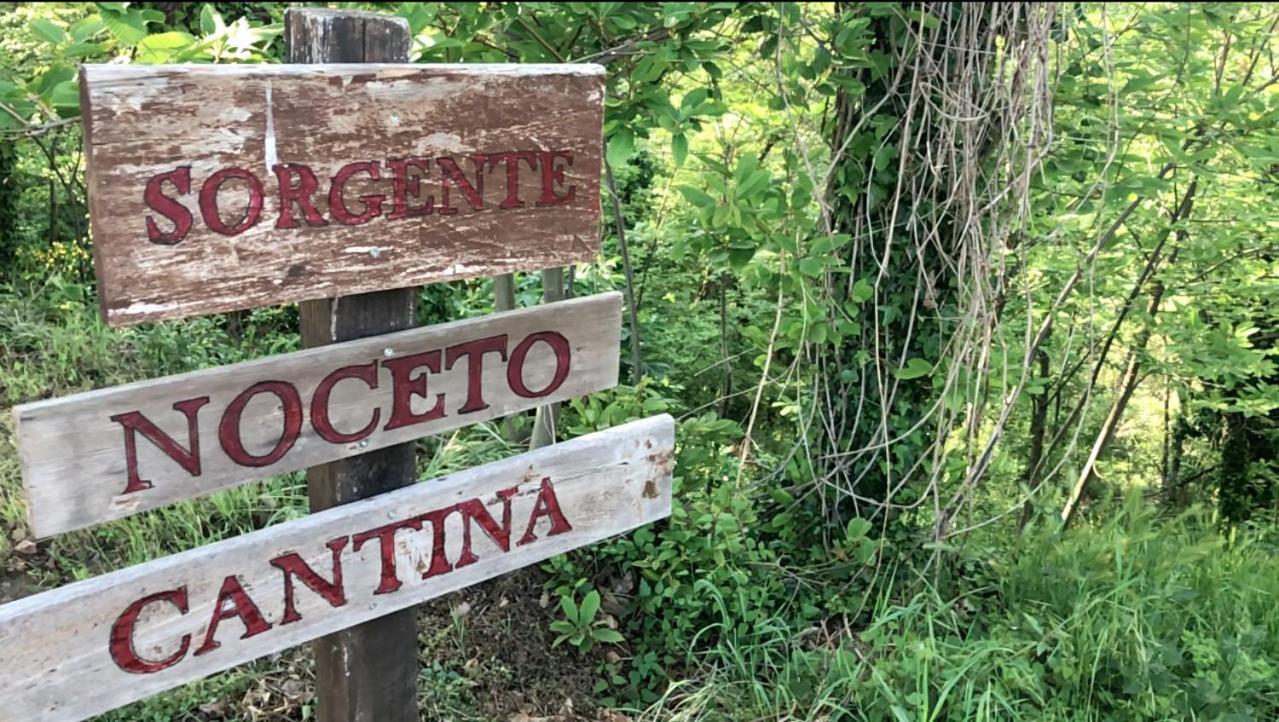 Agriturismo Eco-Bio Villa Vacasio Питильяно Экстерьер фото