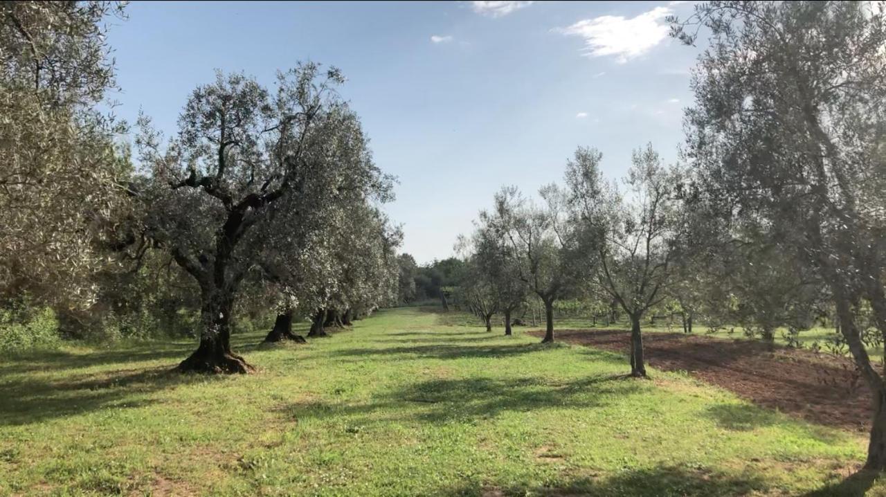 Agriturismo Eco-Bio Villa Vacasio Питильяно Экстерьер фото